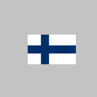 Gastlandflagge / Fahne Finnland