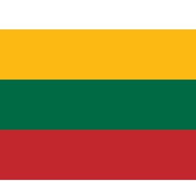 Gastlandflagge / Fahne Litauen