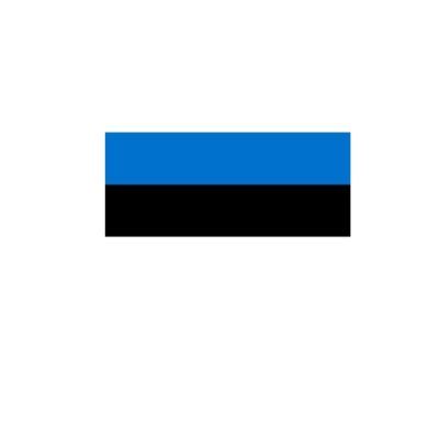 Gastlandflagge / Fahne Estland